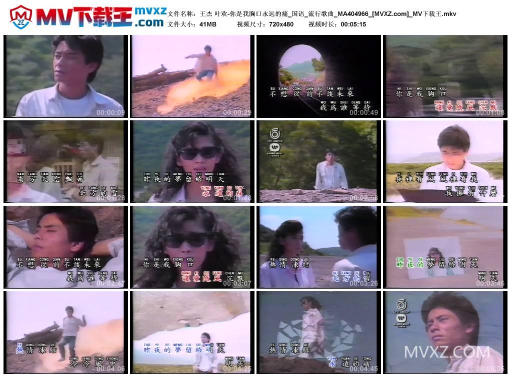 王杰 叶欢-你是我胸口永远的痛_国语_流行歌曲_MA404966